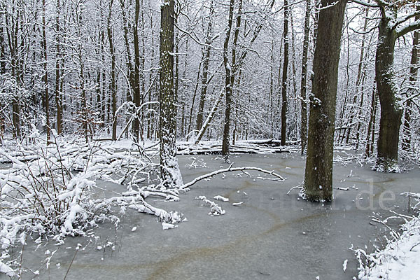 Thüringen (Thuringia)