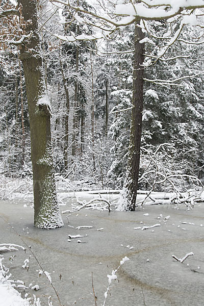 Thüringen (Thuringia)