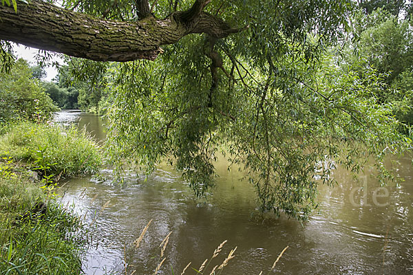 Thüringen (Thuringia)