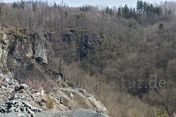 Thüringen (Thuringia)