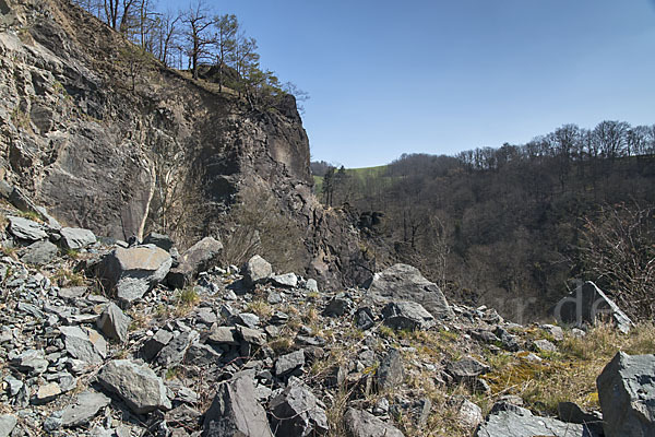 Thüringen (Thuringia)