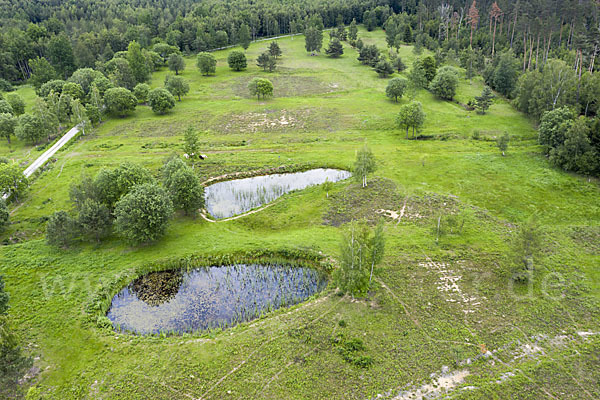 Thüringen (Thuringia)