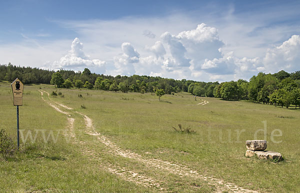 Thüringen (Thuringia)