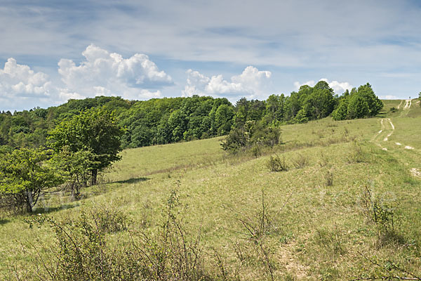 Thüringen (Thuringia)