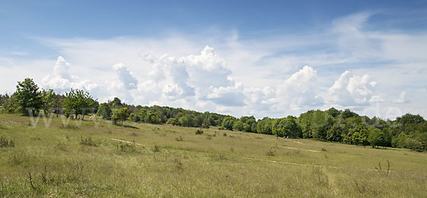 Thüringen (Thuringia)