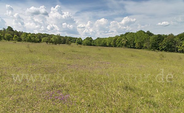 Thüringen (Thuringia)