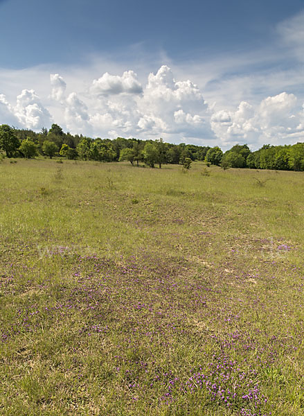 Thüringen (Thuringia)