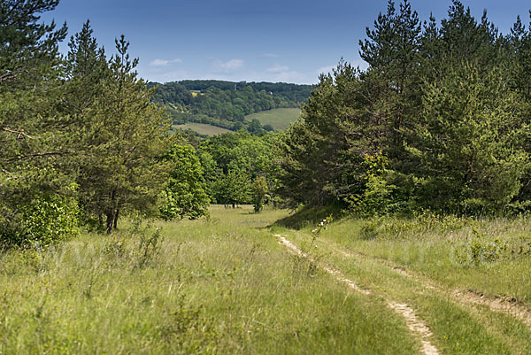 Thüringen (Thuringia)