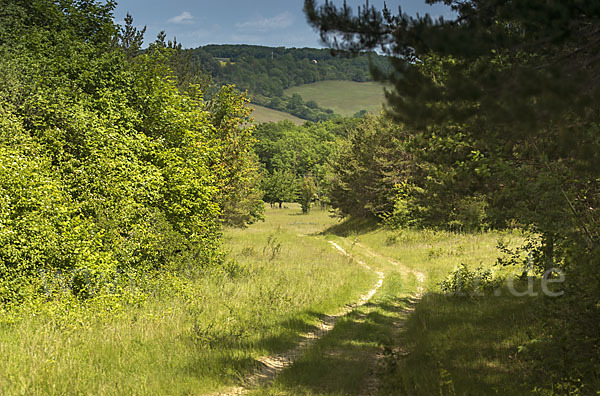 Thüringen (Thuringia)