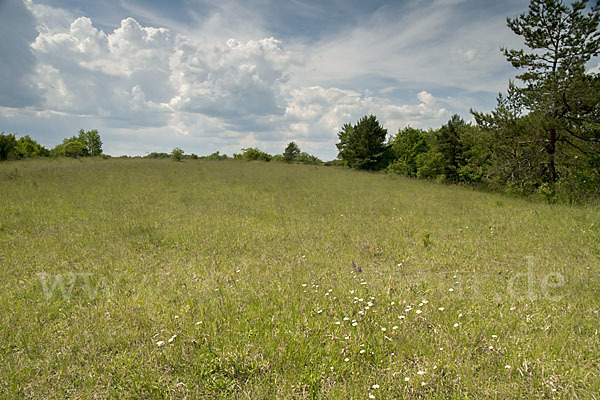 Thüringen (Thuringia)