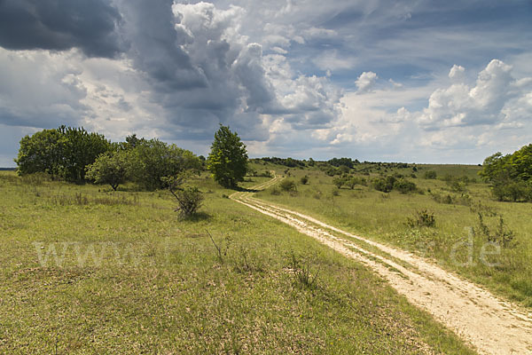 Thüringen (Thuringia)