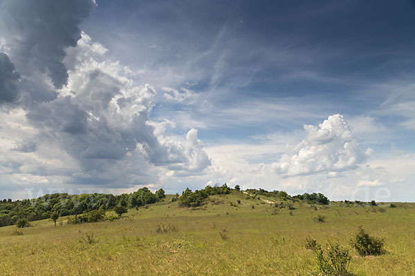 Thüringen (Thuringia)