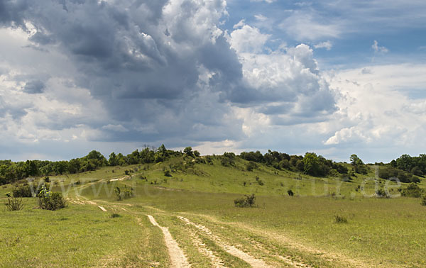 Thüringen (Thuringia)