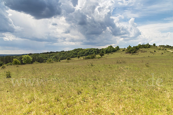 Thüringen (Thuringia)