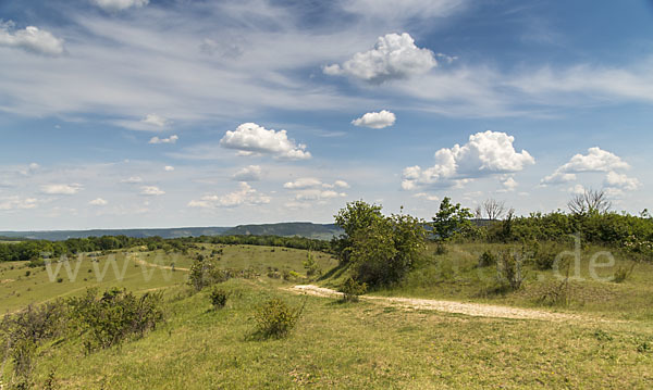 Thüringen (Thuringia)