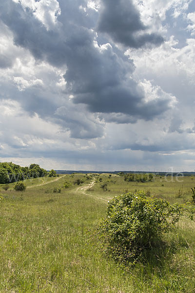 Thüringen (Thuringia)