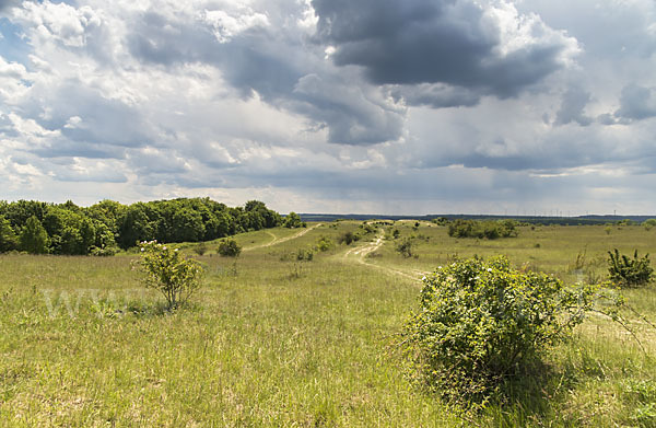 Thüringen (Thuringia)