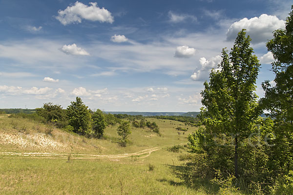 Thüringen (Thuringia)