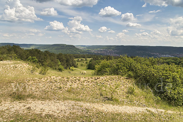 Thüringen (Thuringia)