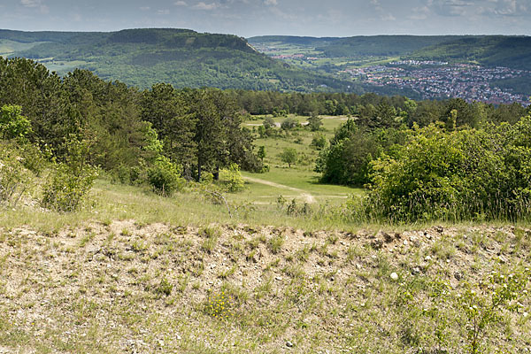 Thüringen (Thuringia)