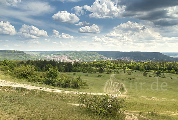 Thüringen (Thuringia)