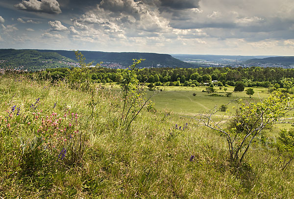 Thüringen (Thuringia)