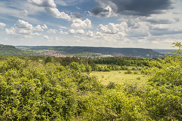 Thüringen (Thuringia)