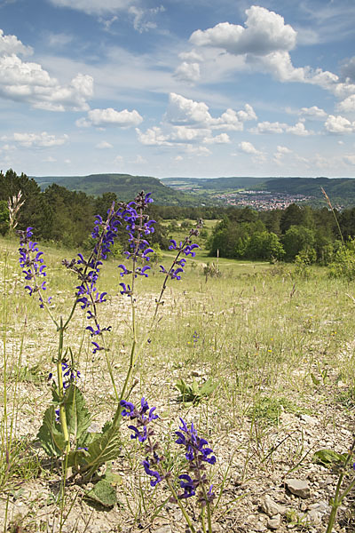 Thüringen (Thuringia)