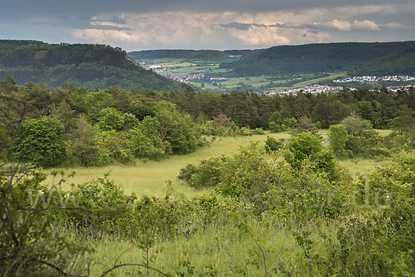 Thüringen (Thuringia)