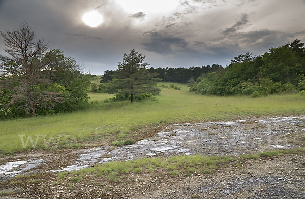 Thüringen (Thuringia)