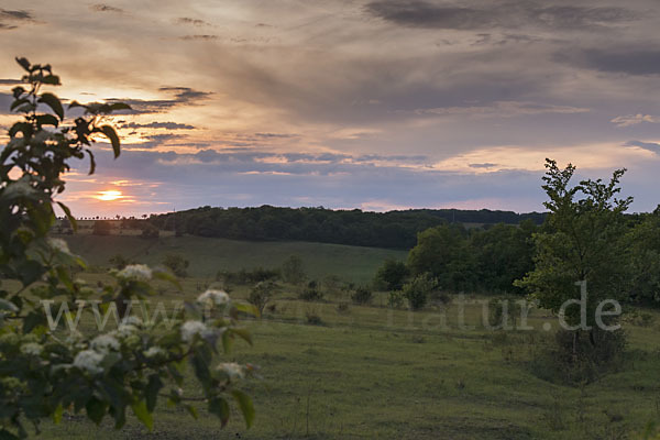 Thüringen (Thuringia)