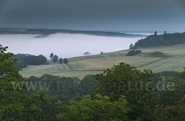 Thüringen (Thuringia)