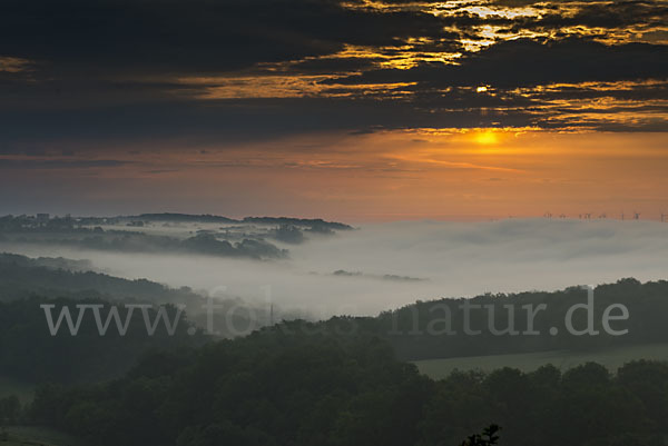 Thüringen (Thuringia)