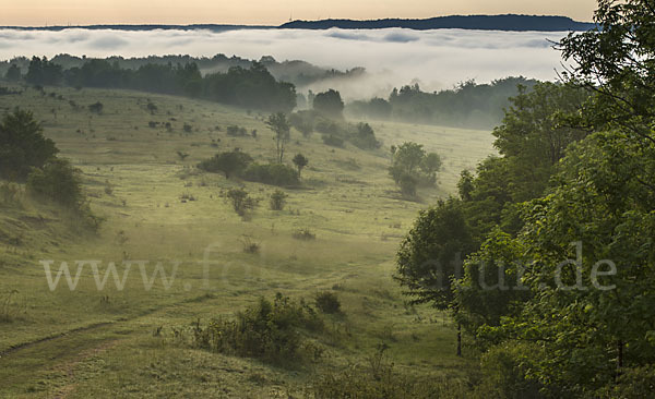 Thüringen (Thuringia)