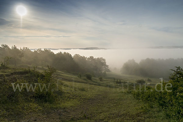 Thüringen (Thuringia)