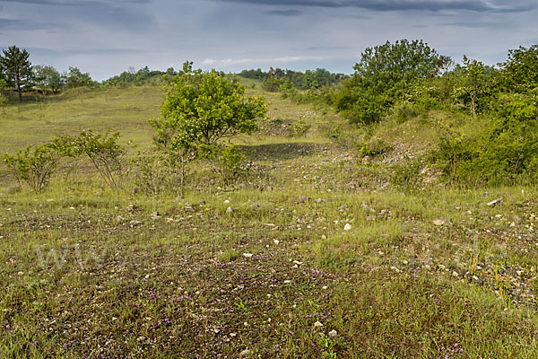 Thüringen (Thuringia)