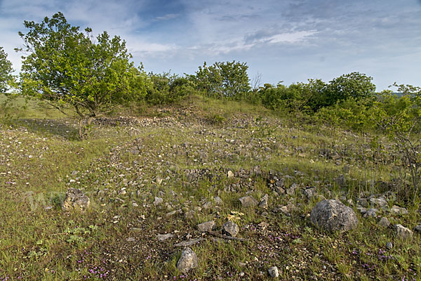 Thüringen (Thuringia)