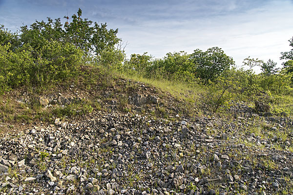 Thüringen (Thuringia)