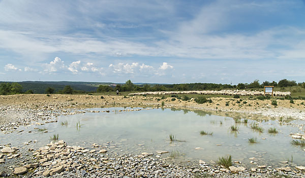 Thüringen (Thuringia)