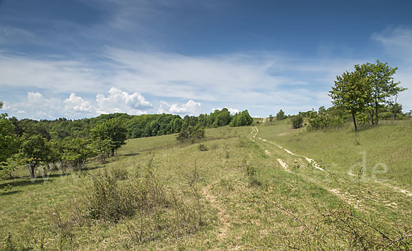 Thüringen (Thuringia)