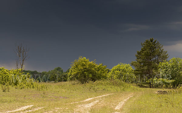 Thüringen (Thuringia)