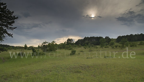 Thüringen (Thuringia)