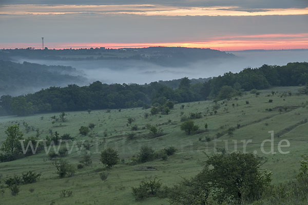 Thüringen (Thuringia)