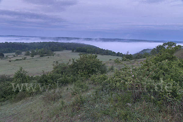 Thüringen (Thuringia)