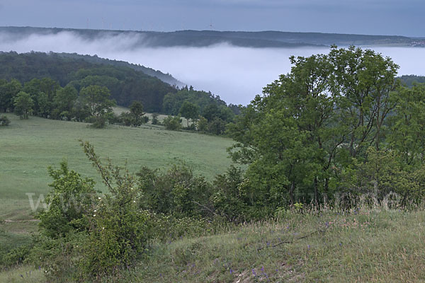 Thüringen (Thuringia)