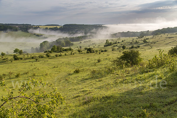 Thüringen (Thuringia)