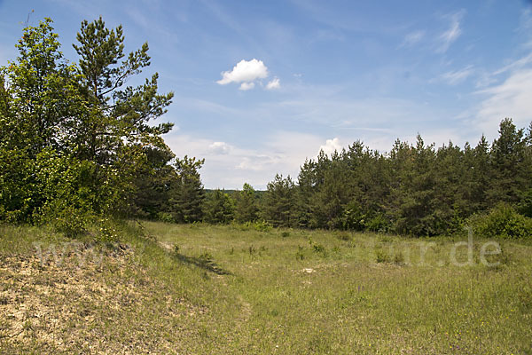 Thüringen (Thuringia)