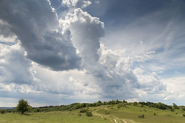 Thüringen (Thuringia)