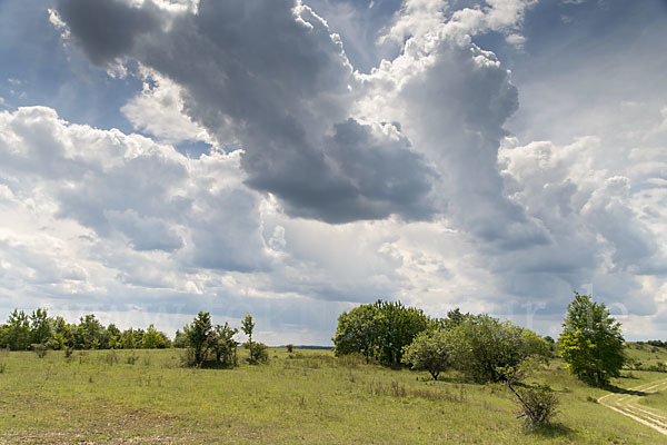 Thüringen (Thuringia)