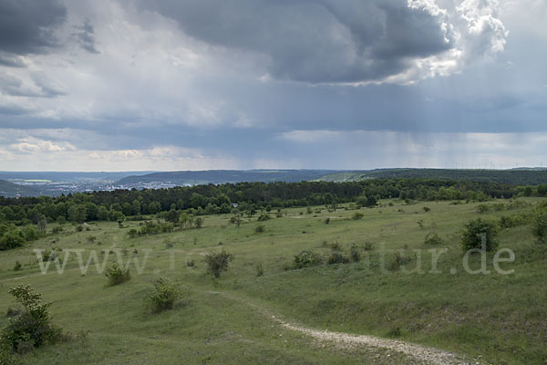 Thüringen (Thuringia)